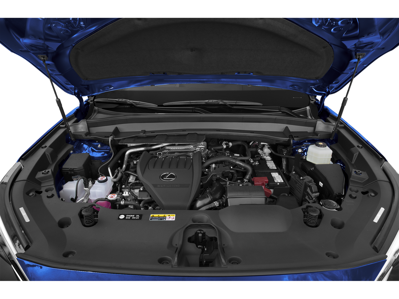 2024 Lexus TX 350 Luxury