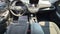 2022 Chevrolet Malibu FWD LS