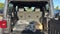 2027 Jeep Wrangler WRANGLER 4-DOOR RUBICON